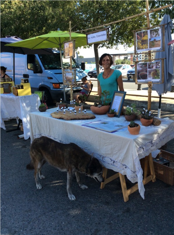 Marché des producteurs de Ghisonaccia, stand Kalyptos et son client inattendu ;-)