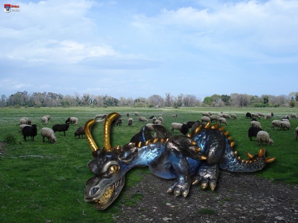 dragon (en polymère fimo) dans un champ de moutons dans la plaine du Fium'Orbu