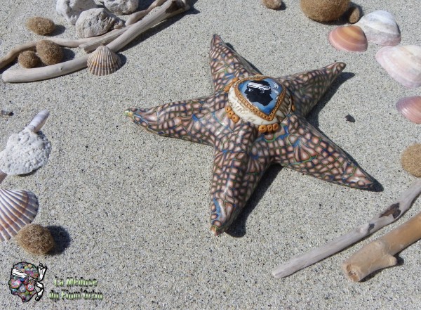 étoile de mer vue dans son élément naturel