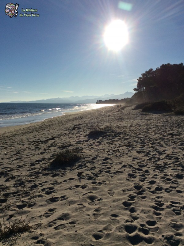 plage de Ghisonaccia un matin d'hiver