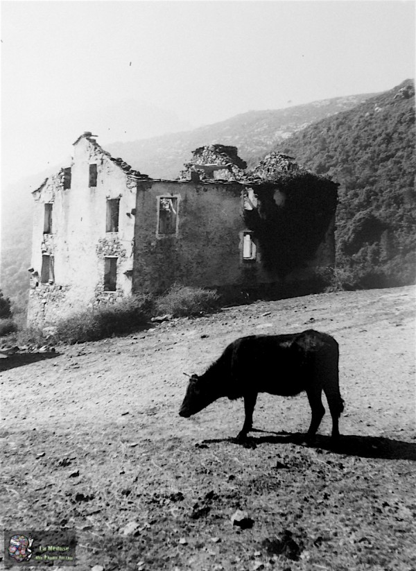 Village de Rosse à Ghisoni