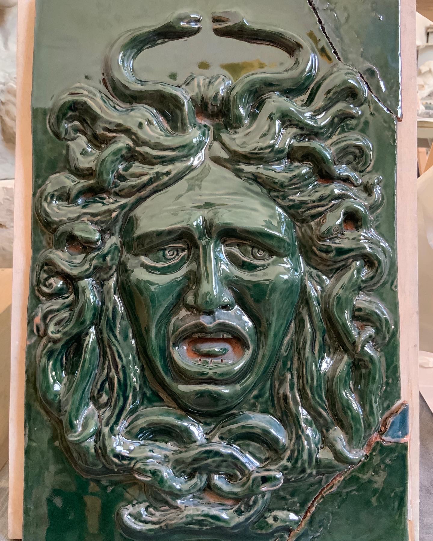 Medusa verde